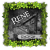 Rene_WD