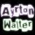 AyrtoN_DS