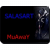 salasart
