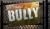 Bully_TS